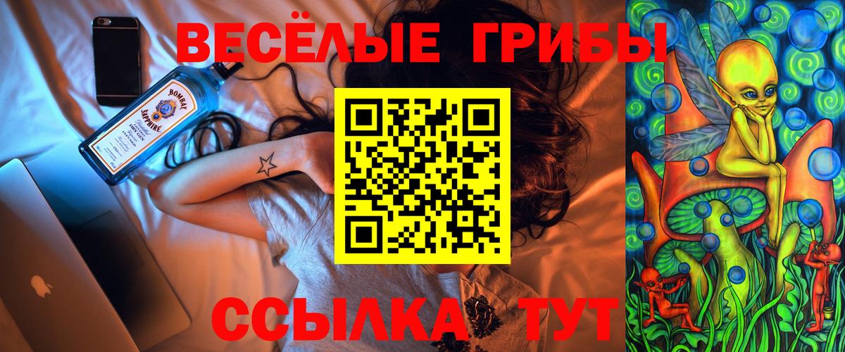 Нягань  наркошоп  Вход с VPN  Псилоцибиновые грибы Psilocybine cubensis 