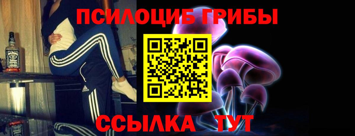 Псилоцибиновые грибы Psilocybine cubensis Нягань
