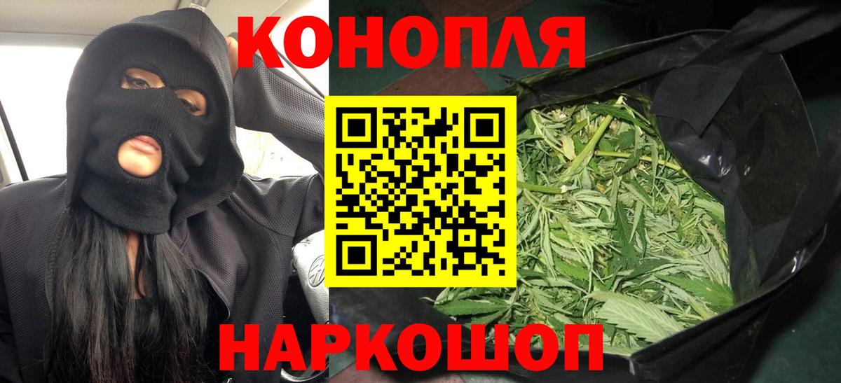 Шишки марихуана план Нягань
